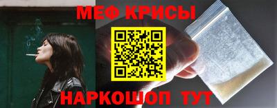 спиды Кингисепп