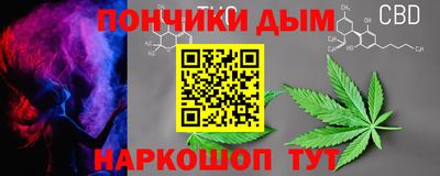 спиды Кингисепп