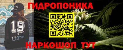 спиды Кингисепп