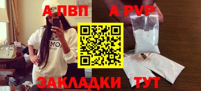 спиды Кингисепп