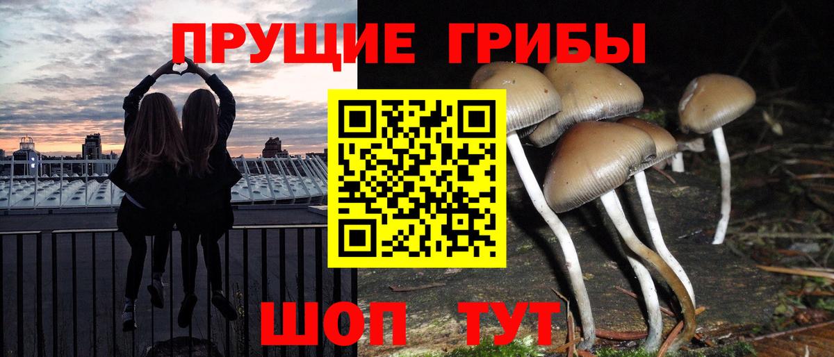 Галлюциногенные грибы мицелий Краснодар